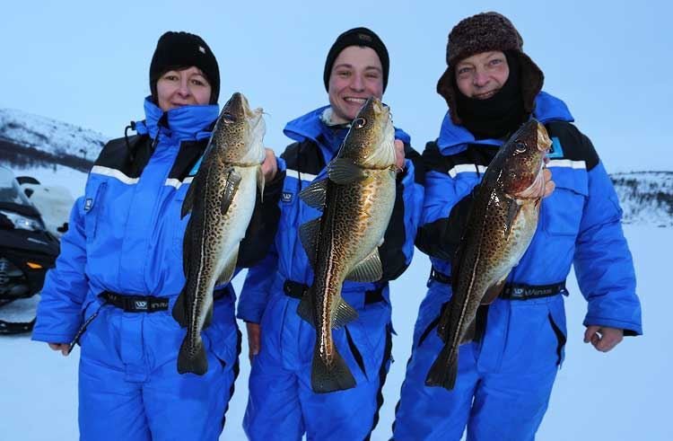 Image: Experience the Thrills of Ice Fishing at UK Live Casino Sites Online Image: Experience the Thrills of Ice Fishing at UK Live Casino Sites Online